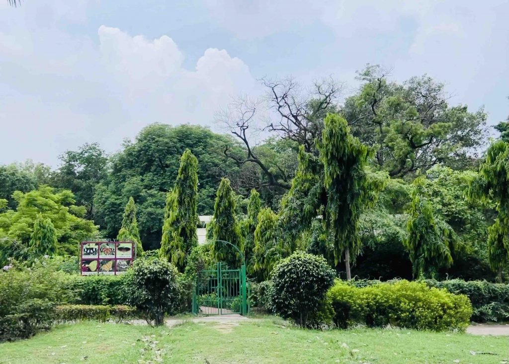 butterfly garden in Lodhi Gardens, New Delhi, India
