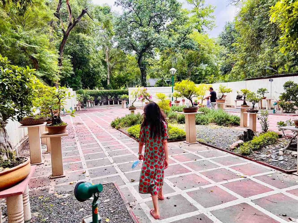 Bonsai Park, Lodhi Gardens, New Delhi, India